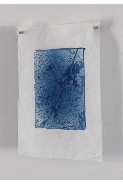 http://www.faceinteract.com/vnctplsn/files/gimgs/71_photosannexe152.gif